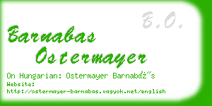 barnabas ostermayer business card